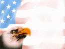 Eagle head on American Flag
